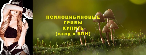 мяу мяу мука Абаза