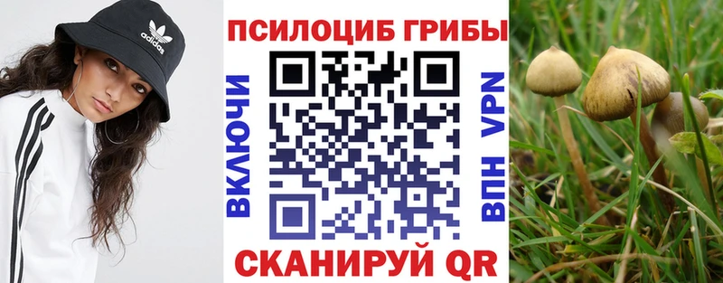 Галлюциногенные грибы MAGIC MUSHROOMS  купить  цена  Ува 